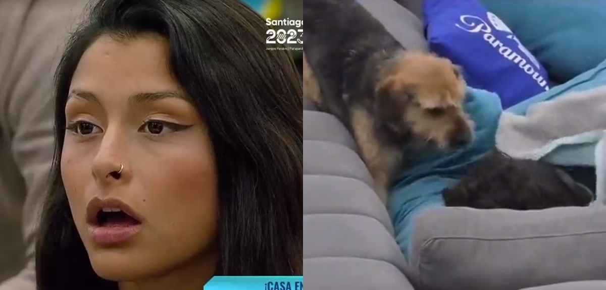 Gran Hermano alzó la voz tras maltrato de participantes a Bigote: 