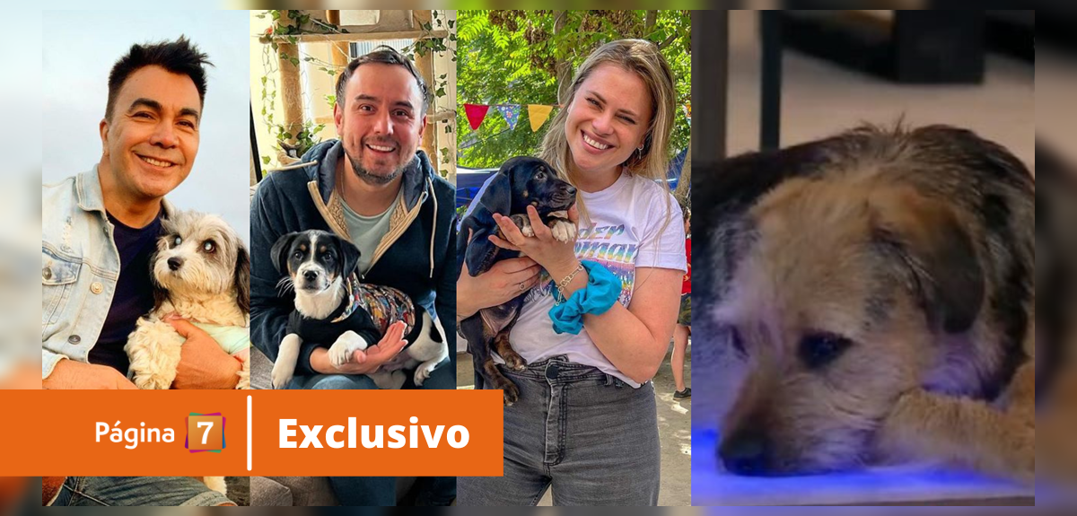 Famosos doglovers reaccionaron a maltrato a Bigote en Gran Hermano: “Me incomodó”