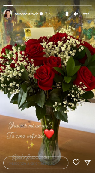 Carolina Mestrovic celebró sus 32 años y su esposo le dedicó romántico saludo.