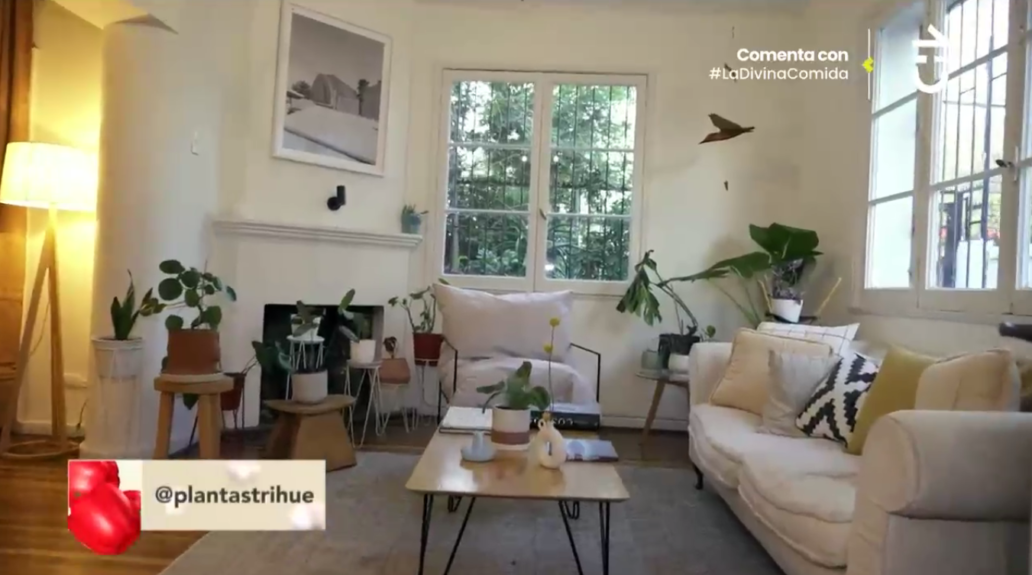 Ministro Esteban Valenzuela mostró sus dos casas en La Divina Comida: tiene particular colección