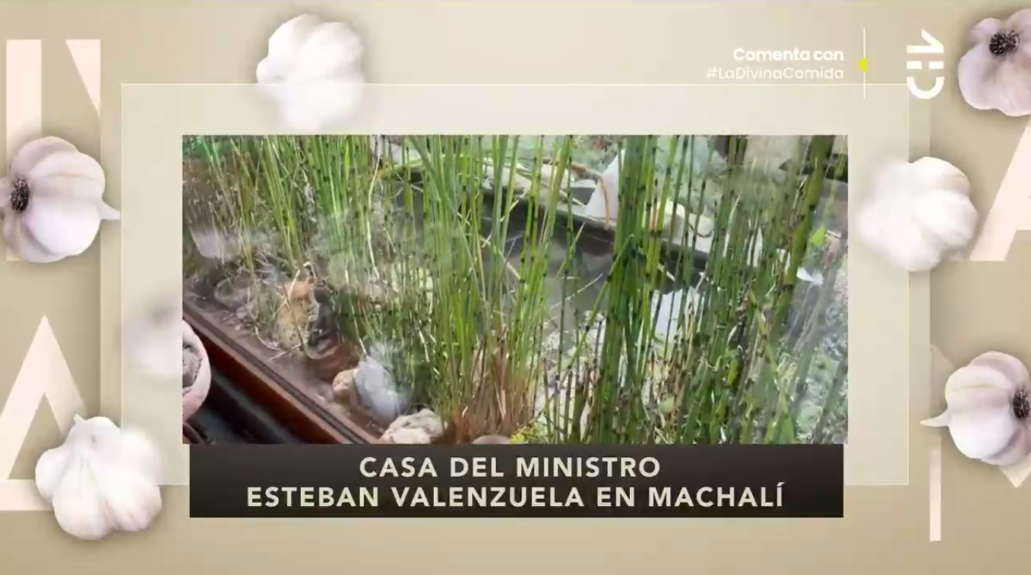 Ministro Esteban Valenzuela mostró sus dos casas en La Divina Comida: tiene particular colección