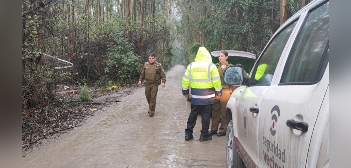 Hallan cuerpo decapitado camino a Chome en Hualpén: transeúnte lo encontró tapado con madera