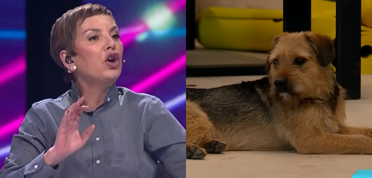 Fran García-Huidobro reaccionó tras maltrato a Bigote en Gran hermano: 