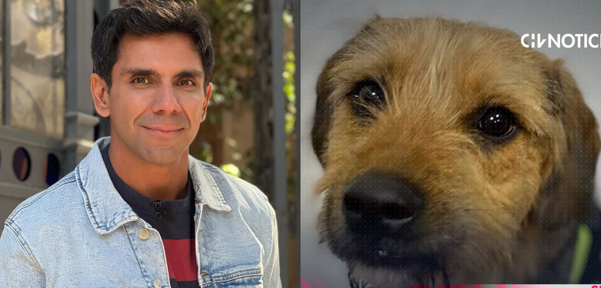 Queraltó se refirió a advertencia de Gran Hermano por maltrato a Bigote: “Si se vuelve a repetir...”