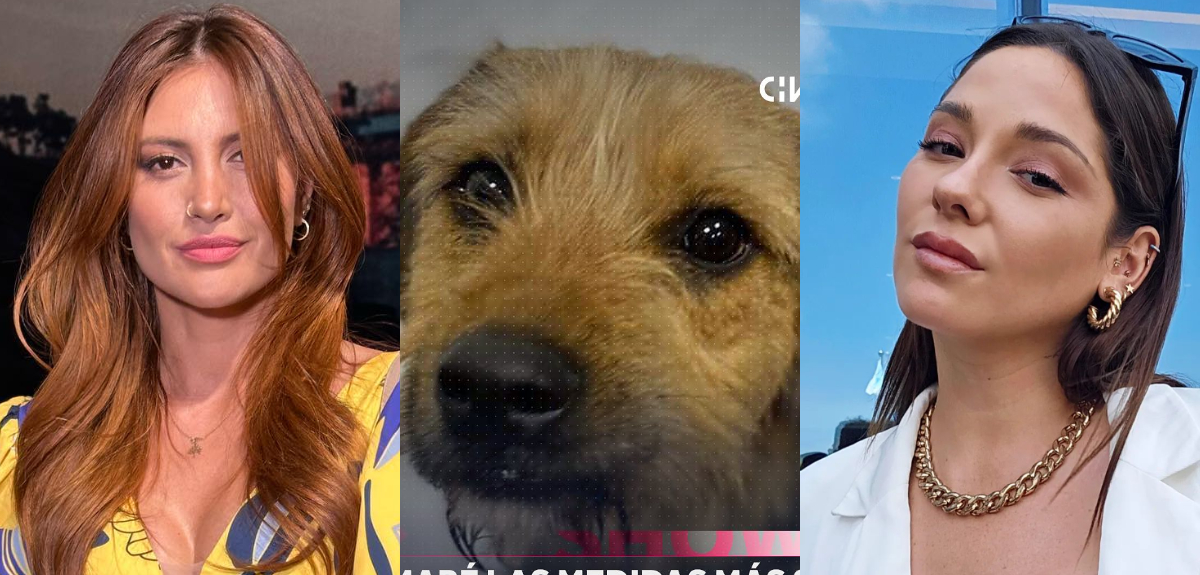 Kel Calderón y Karen Bejarano criticaron trato a Bigote en Gran Hermano: 