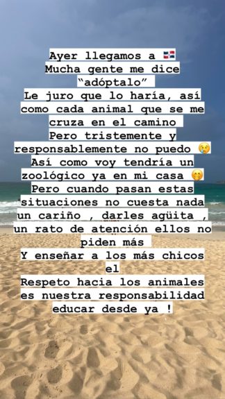 Maura Rivera reflexión adopción animales