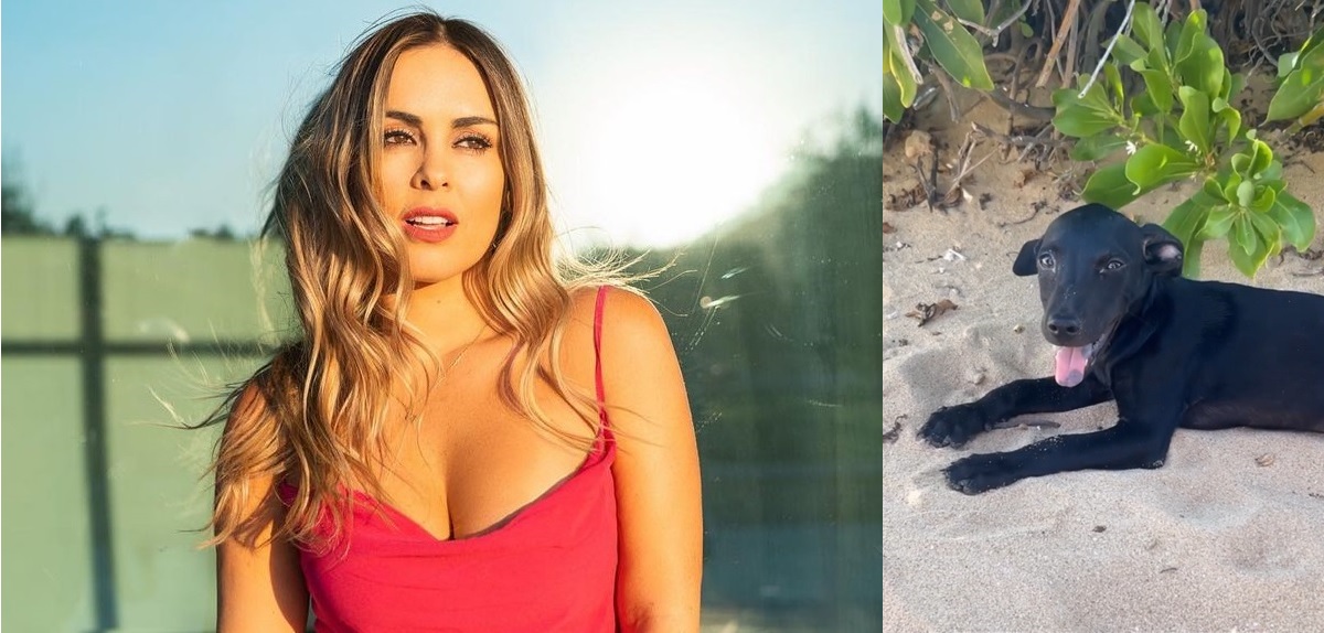 Maura Rivera fue emplazada por no adoptar a perro y respondió tajante: 