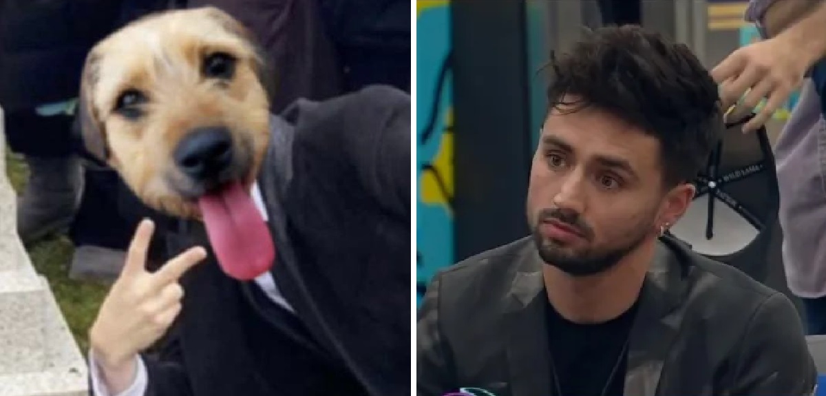 Twitter se llenó de memes tras eliminación de Bambino en 'Gran Hermano': Bigote fue protagonista