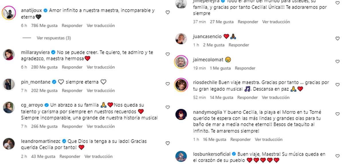 De Ana Tijoux a Los Bunkers: famosos reaccionan a muerte de Cecilia, la Incomparable