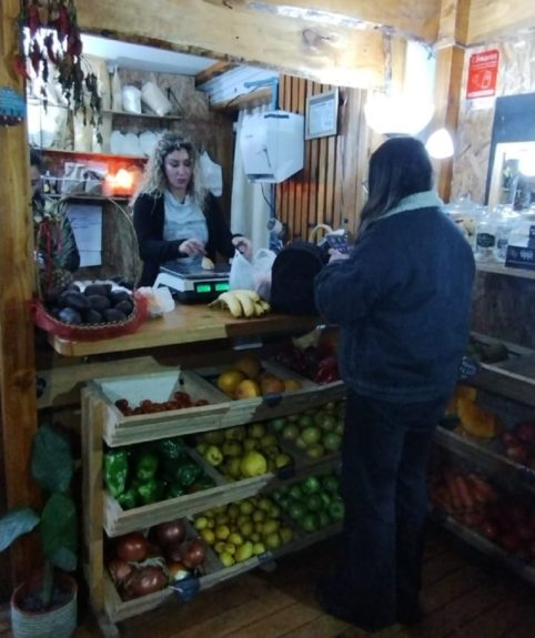 Angélica Sepúlveda contó detalles de su emprendimiento orgánico en Concepción: "Somos una familia"