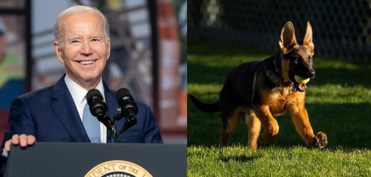 Uno de los perros de Joe Biden se ha visto implicado en incidentes: agente terminó en el hospital