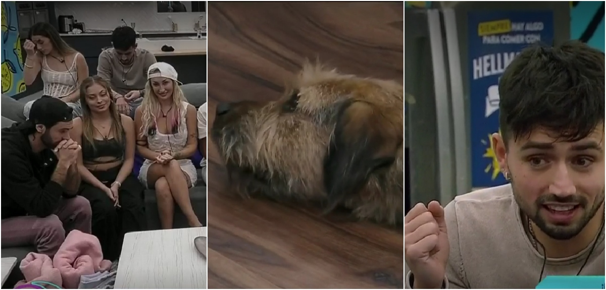 Gran hermano: el mea culpa de Jorge, Bambino y Lucas tras llamado de atención por trato hacia Bigote