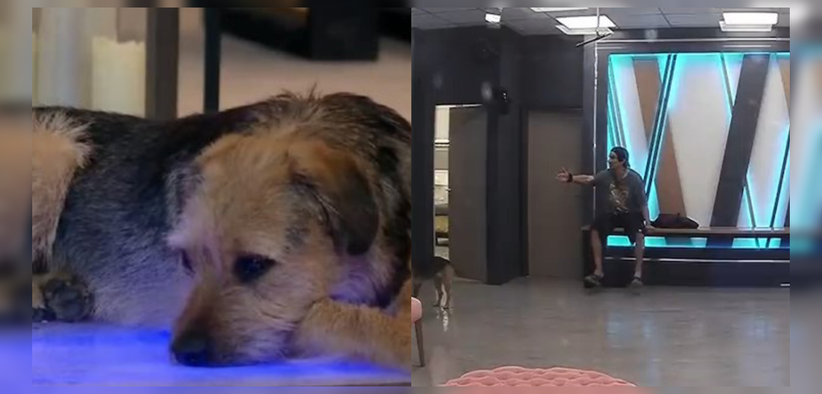 Sebastián Ramírez criticó a sus compañeros de Gran Hermano tras defender a Bigote