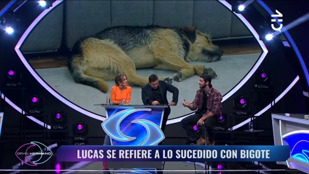 Lucas Crespo habló de Bigote en Gran Hermano
