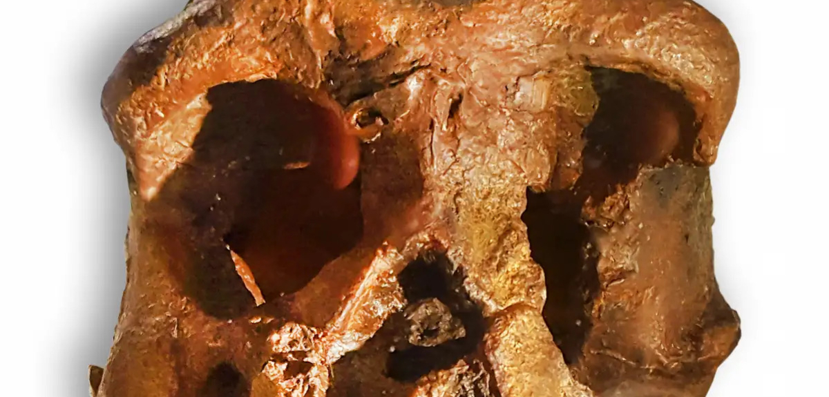 Encuentran cráneo en China que sería de linaje humano desconocido