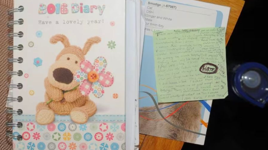 El terrible caso de la enfermera de Inglaterra que “jugaba a ser Dios”: asesinó a siete bebés