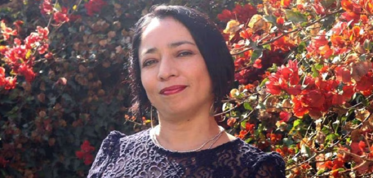 Gobernadora de Coquimbo fue suspendida por mal uso de auto fiscal: lo utilizó hasta para ir al mall