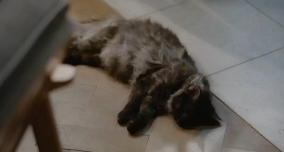 Infartante avance de Generación 98 mostró una muerte y arribo de nuevo personaje