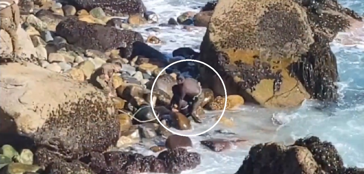 Con solo 20 años: sujeto que se lanzó al mar para huir de Carabineros tenía 12 detenciones previas