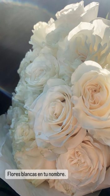 Benjamín Vicuña dedicó emotivo homenaje a su hija Blanca a 11 años de su muerte