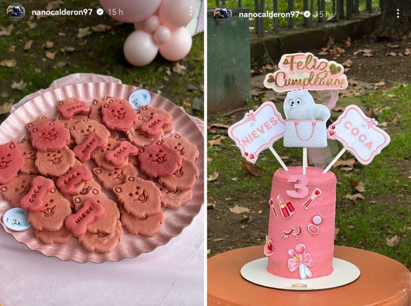 Nano Calderón cumpleaños perrita Coca Pomeranian