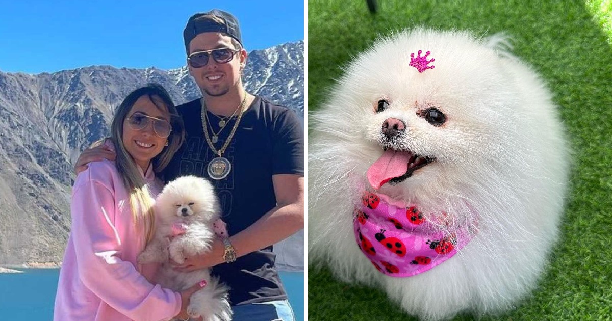 Nano Calderón celebró con tremenda producción a su perrita Coca: 