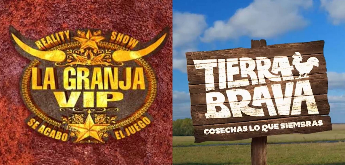 Canal 13 confirma a ex 