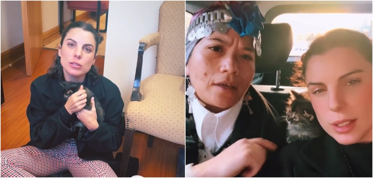 Maite Orsini llegó a la Cámara baja con gato y causó molestia en Coloma: diputada explicó el motivo