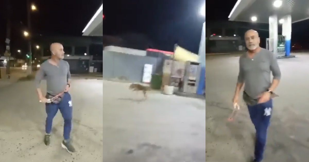 Maltrato animal: captan en Villa Alemana a hombre lanzándole piedras a un perro con una honda