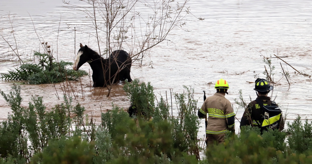 Mujer muere arrastrada por el río cuando intentaba cruzarlo a caballo junto a su hijo en Alto Biobío