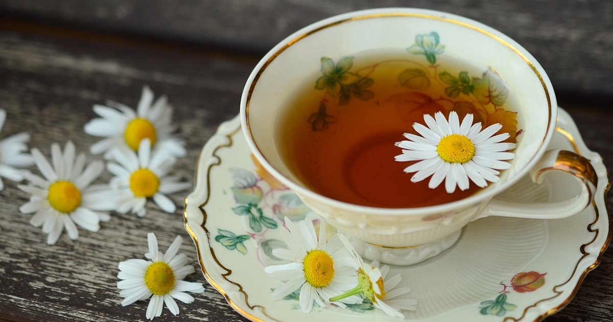 ¿Excesos en Fiestas Patrias? Revisa las mejores hierbas medicinales para disminuir el malestar