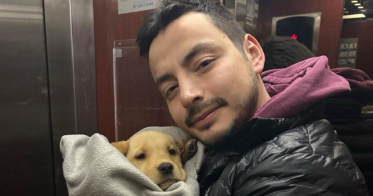 Pollo Castillo lamentó la partida de Nala: perrita que rescató de la calle falleció a las 3 semanas