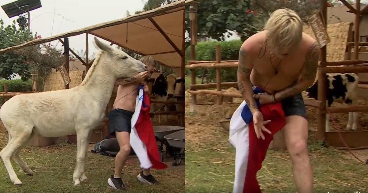 Junior Playboy sufrió ataque de un burro en Tierra Brava: 