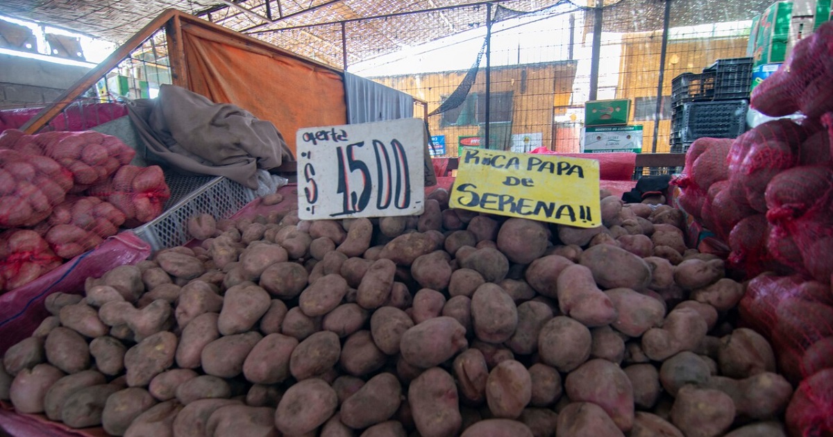 Los productos que subieron y bajaron de precio en septiembre: papas registraron aumento del 37%