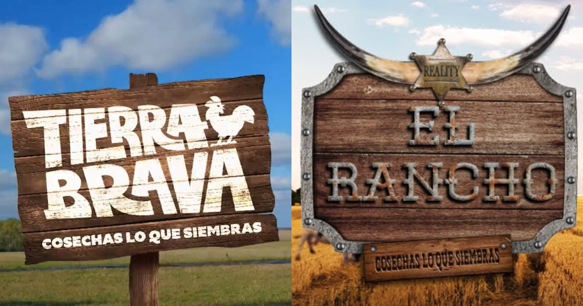 Productora acusa que Canal 13 copió su reality 