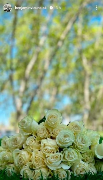 Benjamín Vicuña dedicó desgarrador tras recordar a su fallecida hija Blanca: “Superando un trauma”