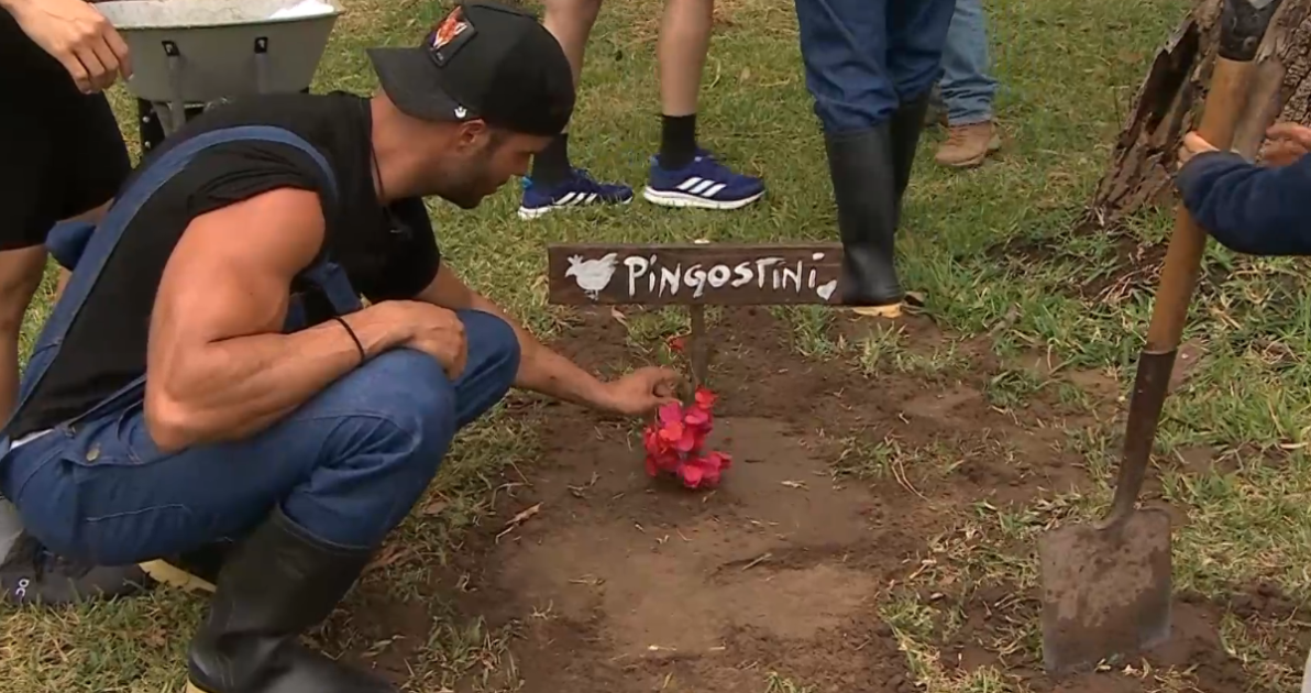 Muerte de animal enlutó capítulo de Tierra Brava: participantes le hicieron sentido funeral