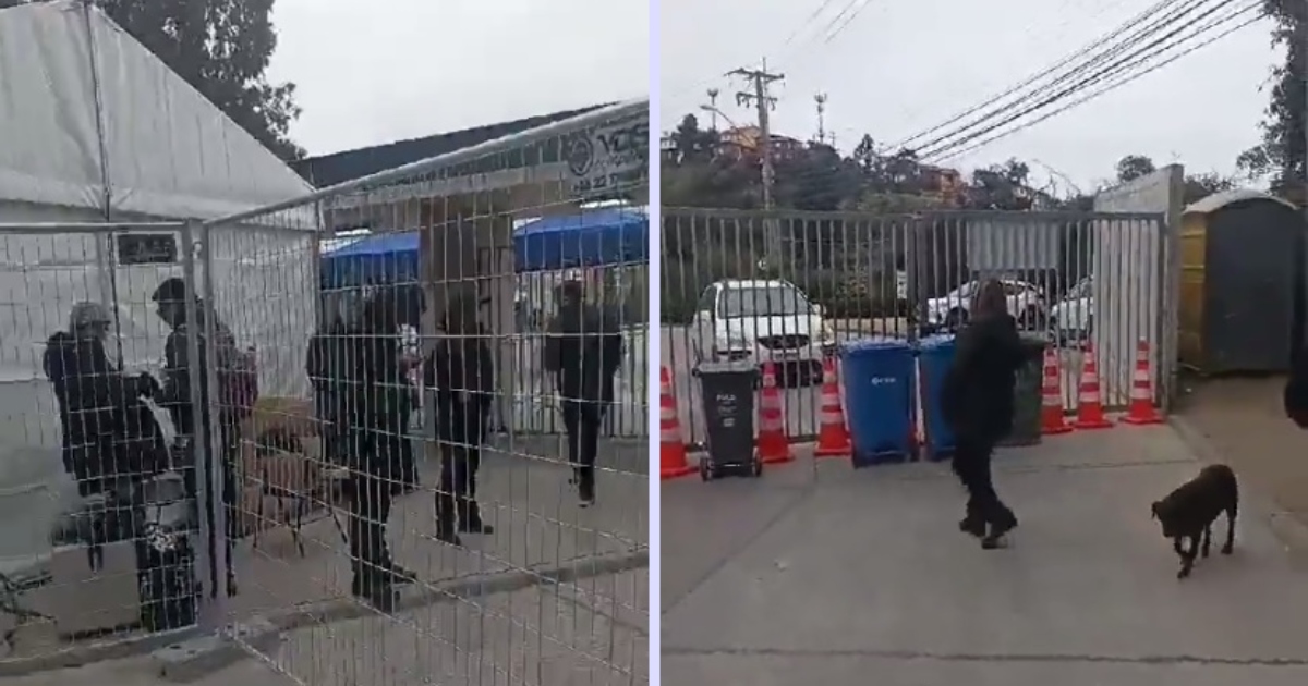 Guardias de estadio Sausalito deponen toma del recinto: empresa High Security pagó sueldos atrasados