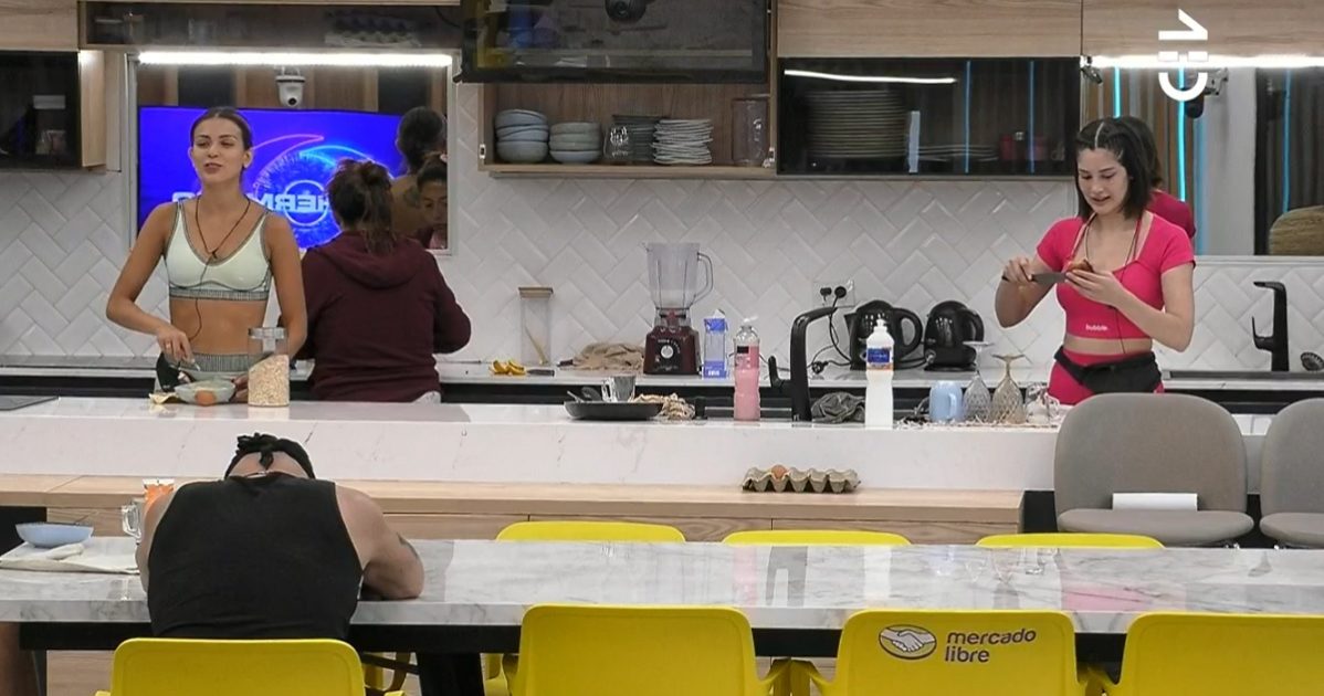 iCata Cony Gran Hermano 