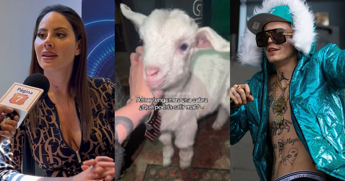 Ignacia Michelson contó qué pasó con el cabrito que adoptó con Marcianeke tras quiebre: 
