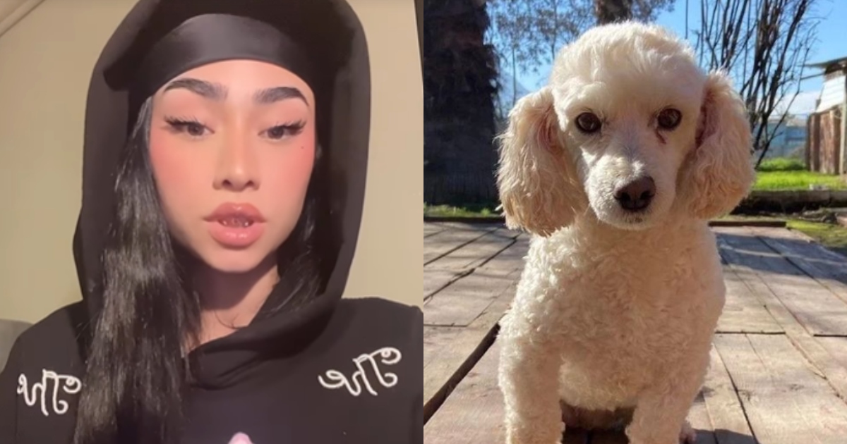 Acusan a abuelo de Paloma Mami de asesinar a perrita a balazos: cantante respondió en redes