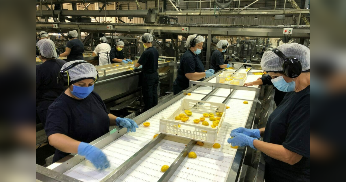 Empresa de alimentos ofrece 2 mil puestos laborales que no requieren experiencia: ¿cómo postular?