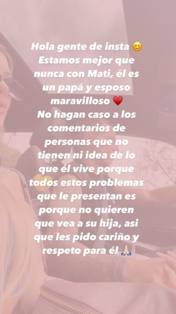 Pareja Matías Fernández defensa VIF