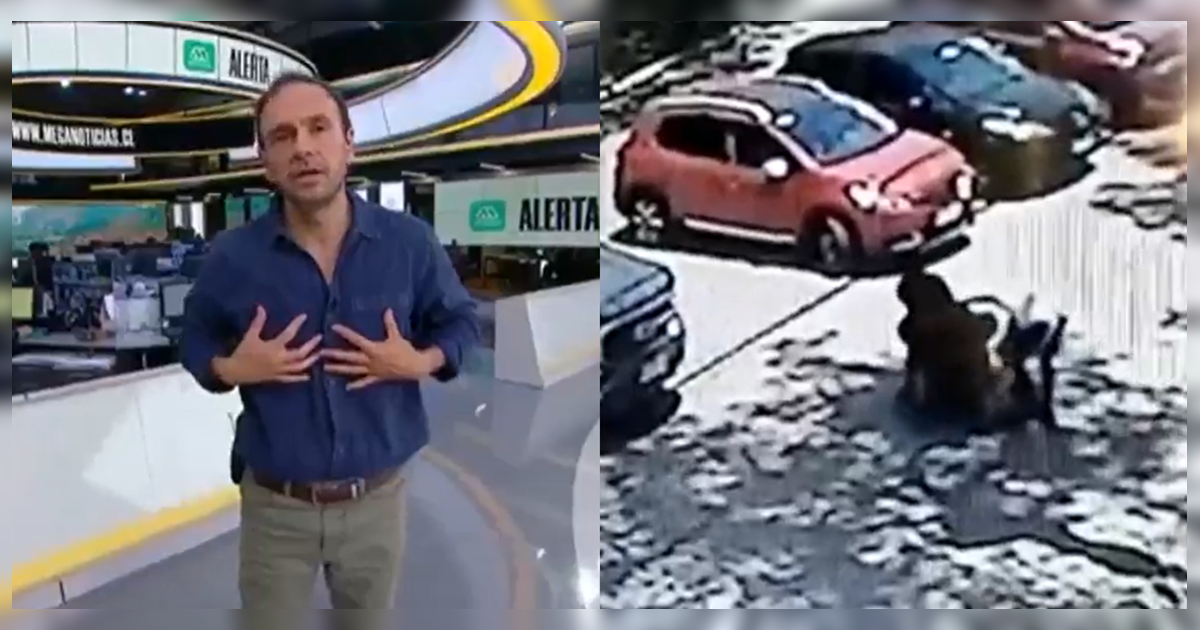 Rodrigo Sepúlveda se indignó con caso de profesora asaltada a la salida de colegio en Pudahuel