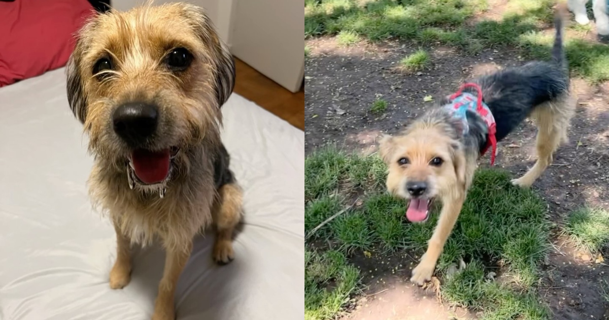 ¿Dónde se queda Bigote tras su salida de Gran Hermano? Estos son los lugares que lo acogieron