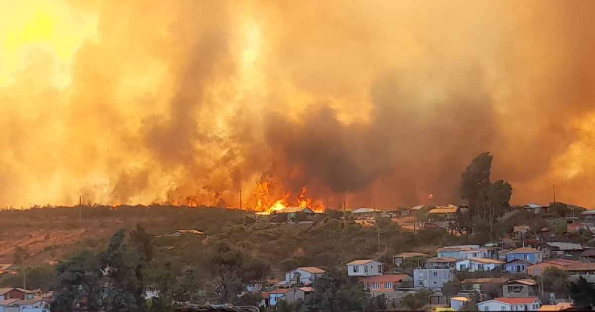 Carabineros detuvo a acusado de causar incendio forestal en sector Las Américas de Villa Alemana