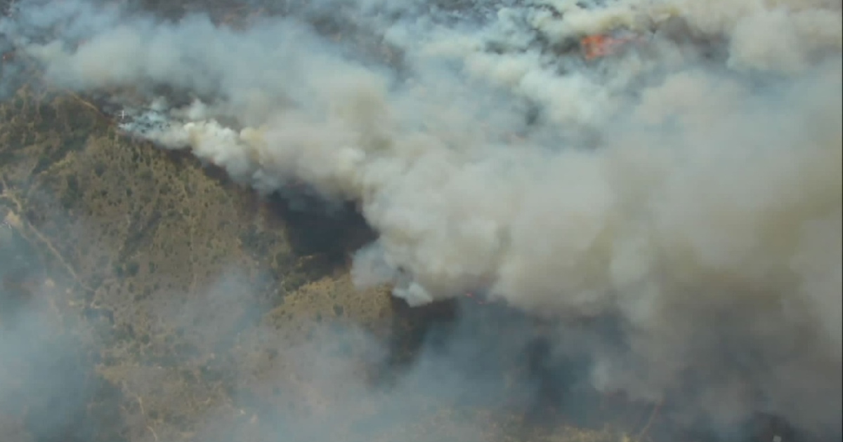 30 hectáreas afectadas por incendio en Villa Alemana: Senapred declaró Alerta Roja