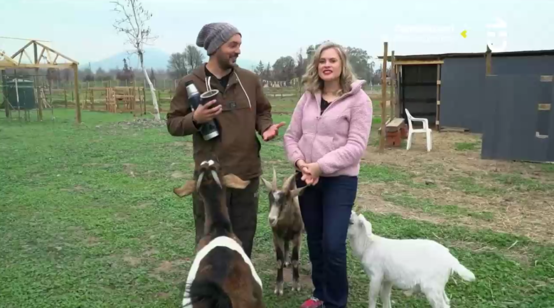 Con huerto y refugio animal: Eliana Albasetti y Federico Koch mostraron su casa en La Divina Comida