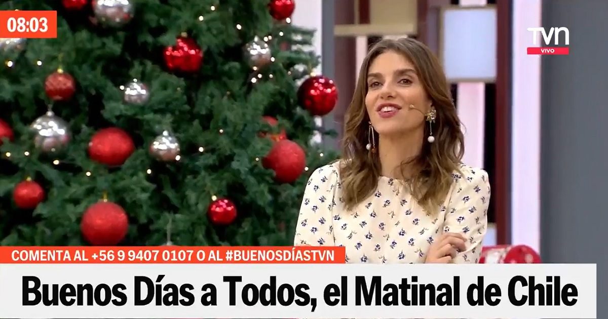 María Luisa Godoy TVN