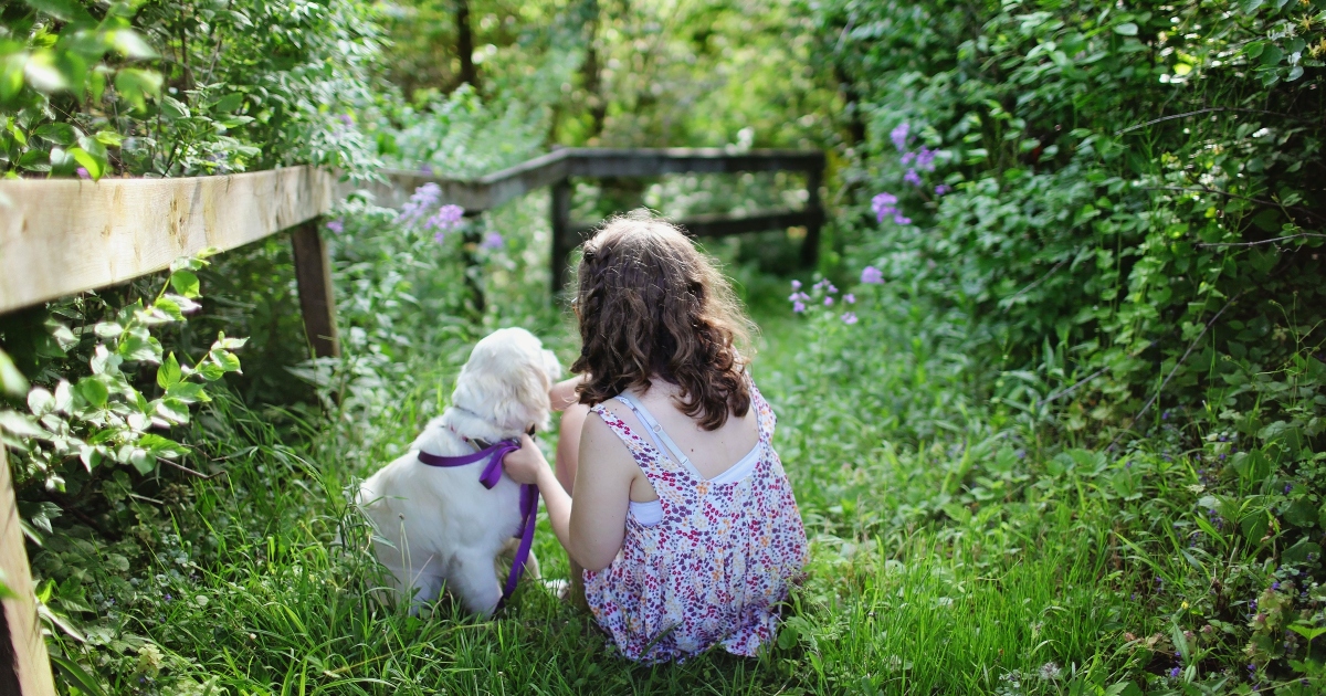 ¿Piensas regalar una mascota para esta Navidad? Qué debes tener en cuenta antes de hacerlo